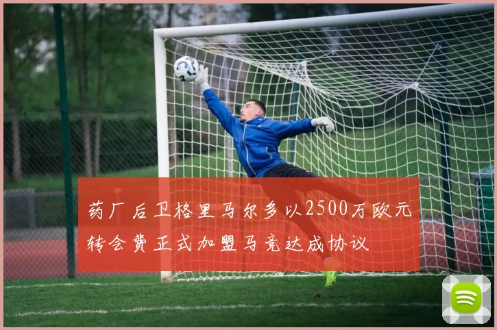 药厂后卫格里马尔多以2500万欧元转会费正式加盟马竞达成协议