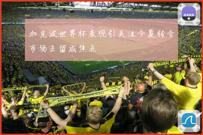 加克波世界杯表现引关注今夏转会市场去留成焦点